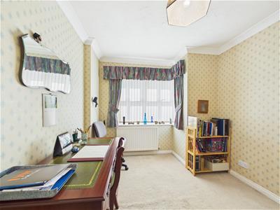 Picture 14